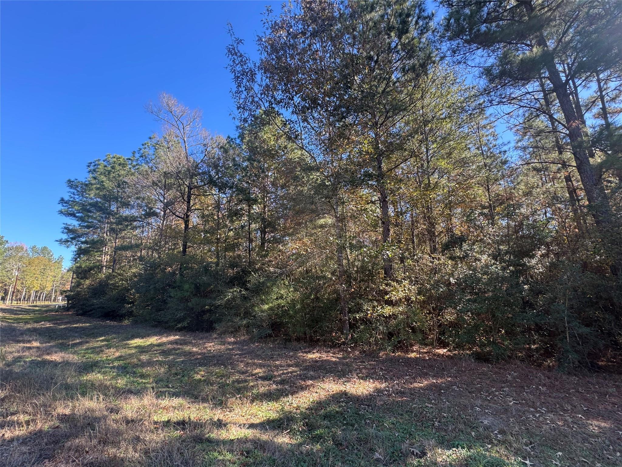 172 Grand View