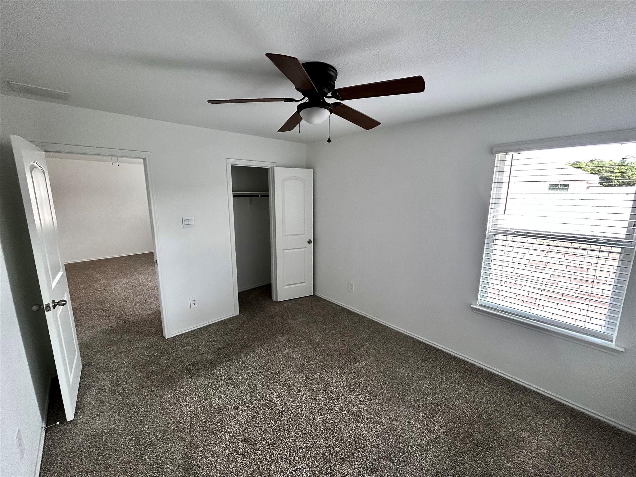 25404 Lobelia Blossom Lane