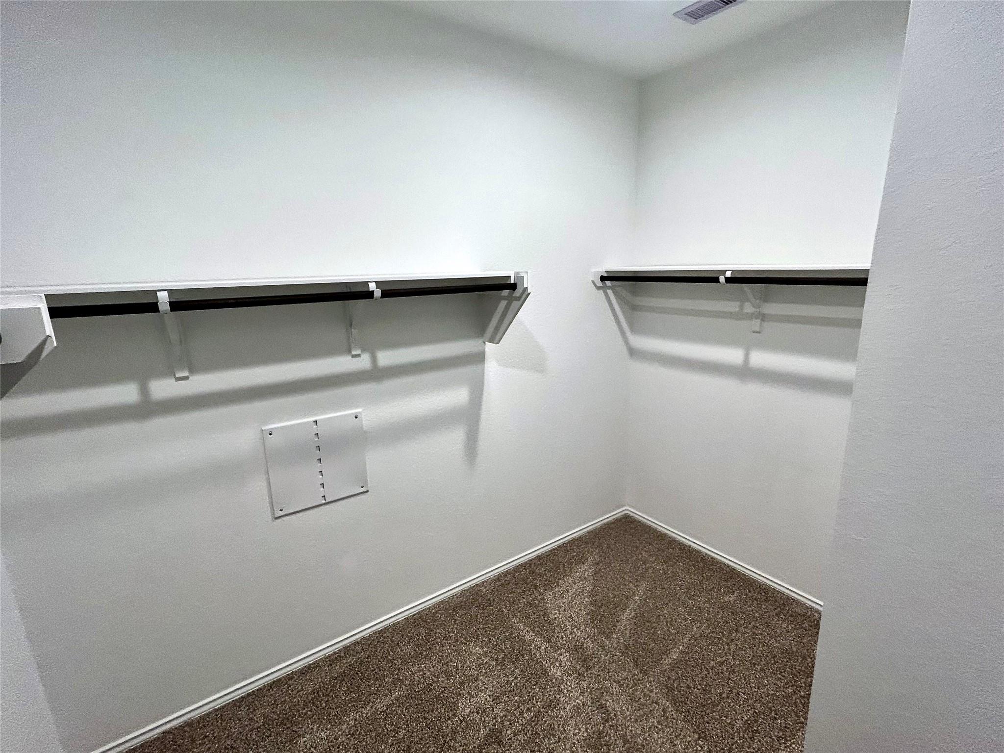 25404 Lobelia Blossom Lane