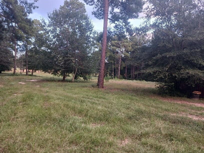 24140 Grand Pines Rd Road