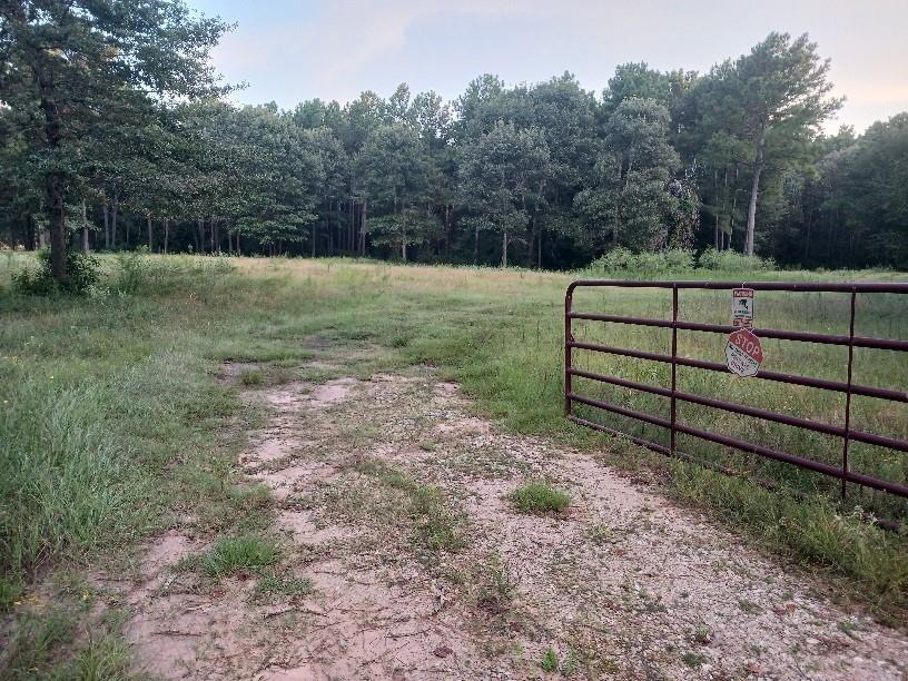 24140 Grand Pines Rd Road