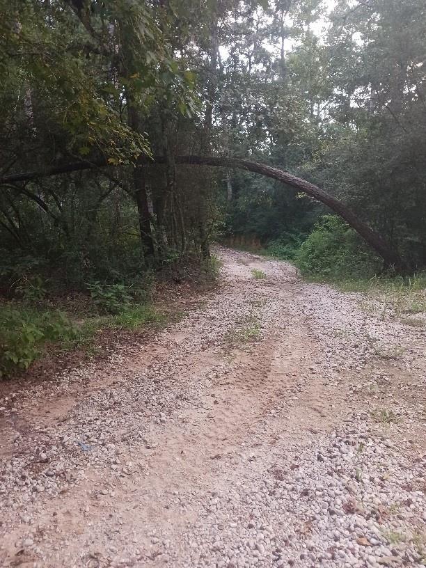 24140 Grand Pines Rd Road