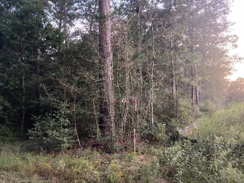 24140 Grand Pines Rd Road