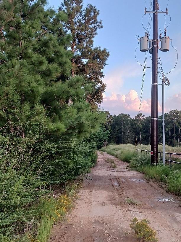 24140 Grand Pines Rd Road