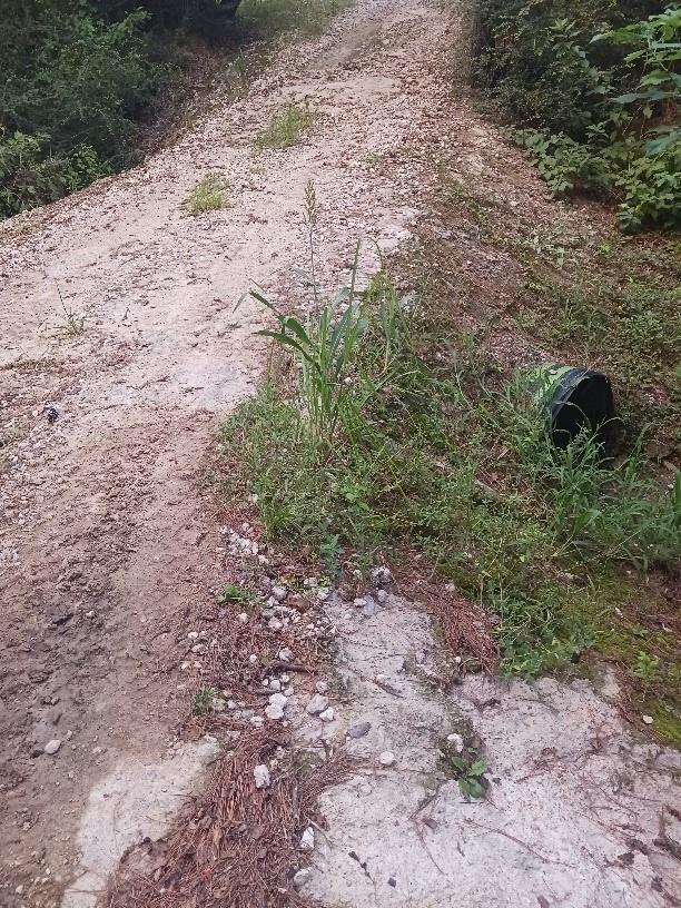 24140 Grand Pines Rd Road