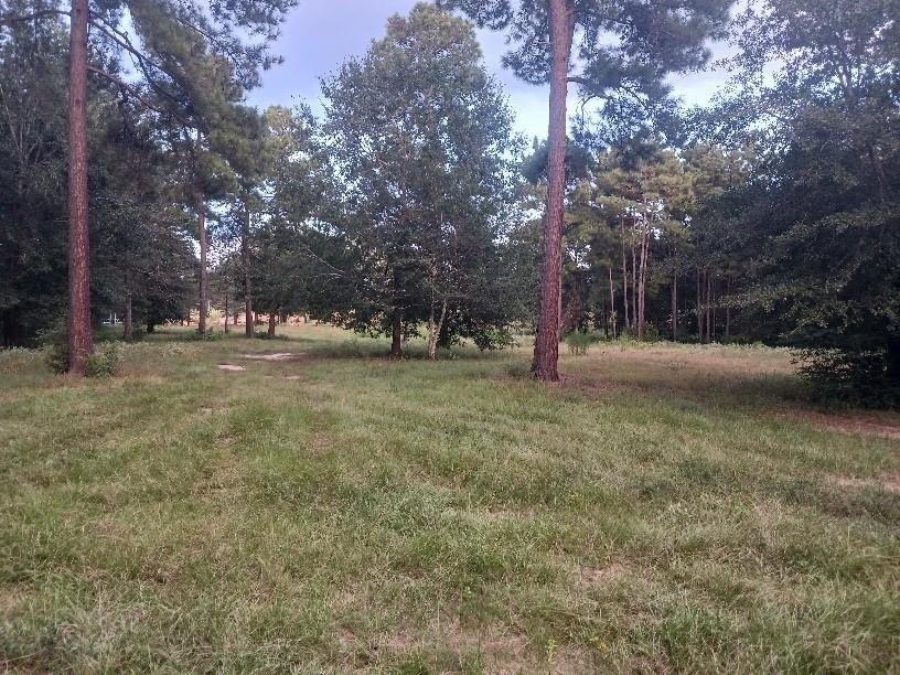 24140 Grand Pines Rd Road