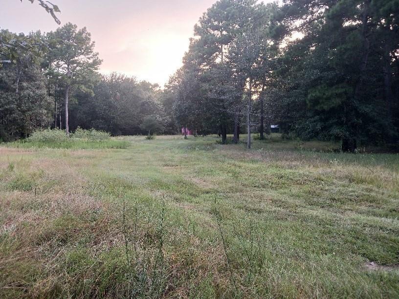 24140 Grand Pines Rd Road