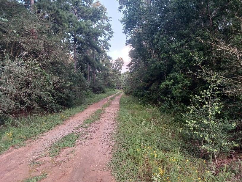 24140 Grand Pines Rd Road