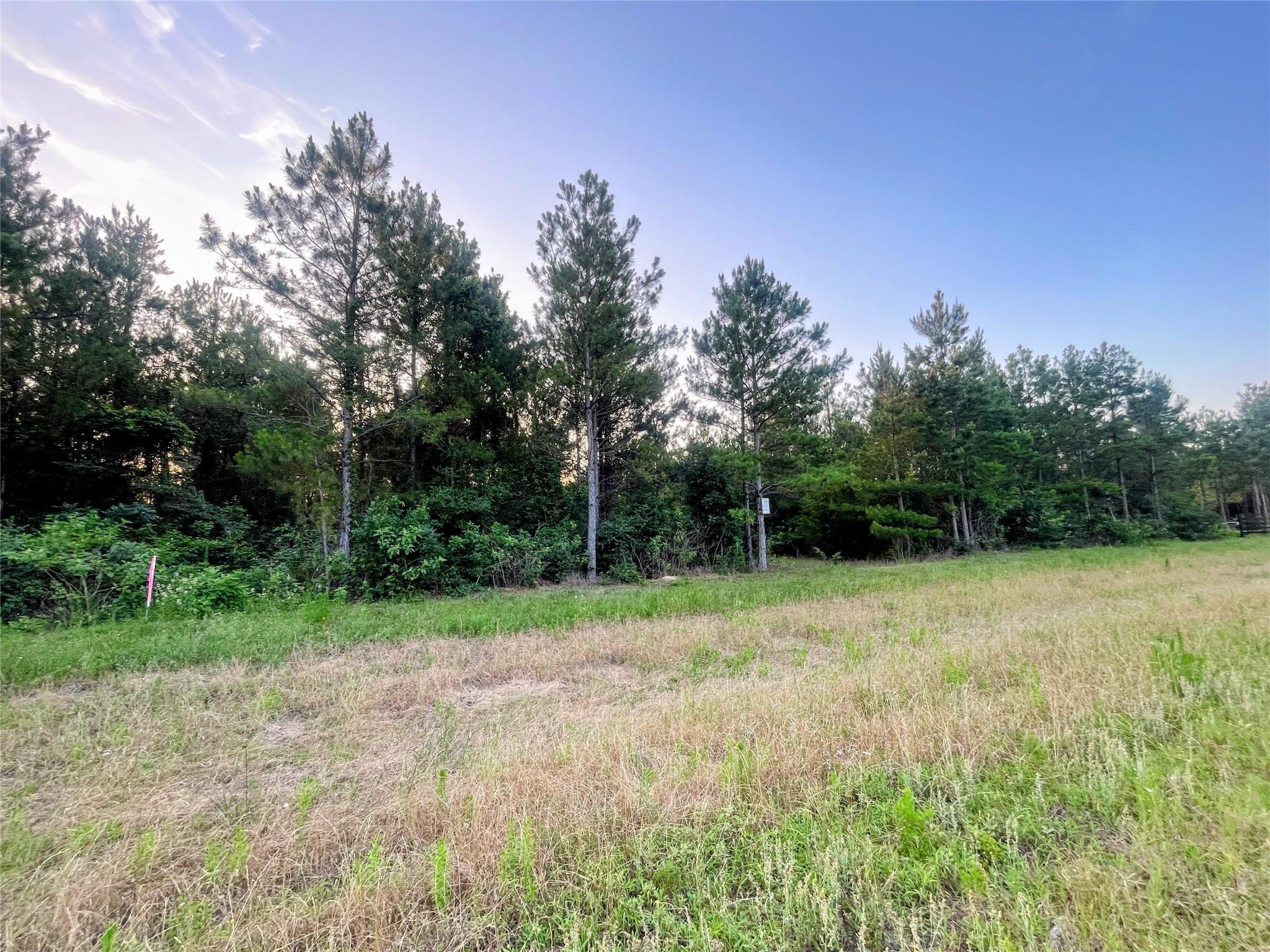 15705 Ridge Rock Road