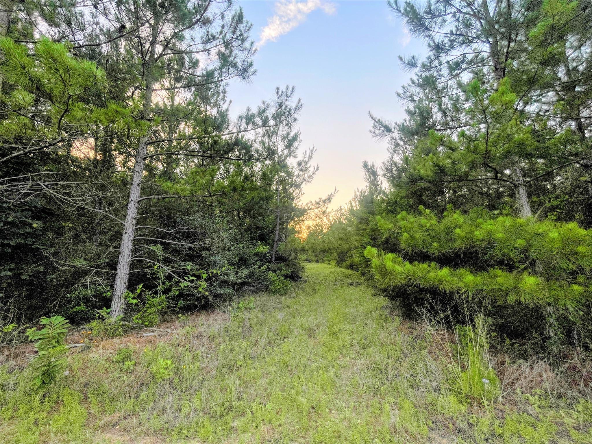 15705 Ridge Rock Road