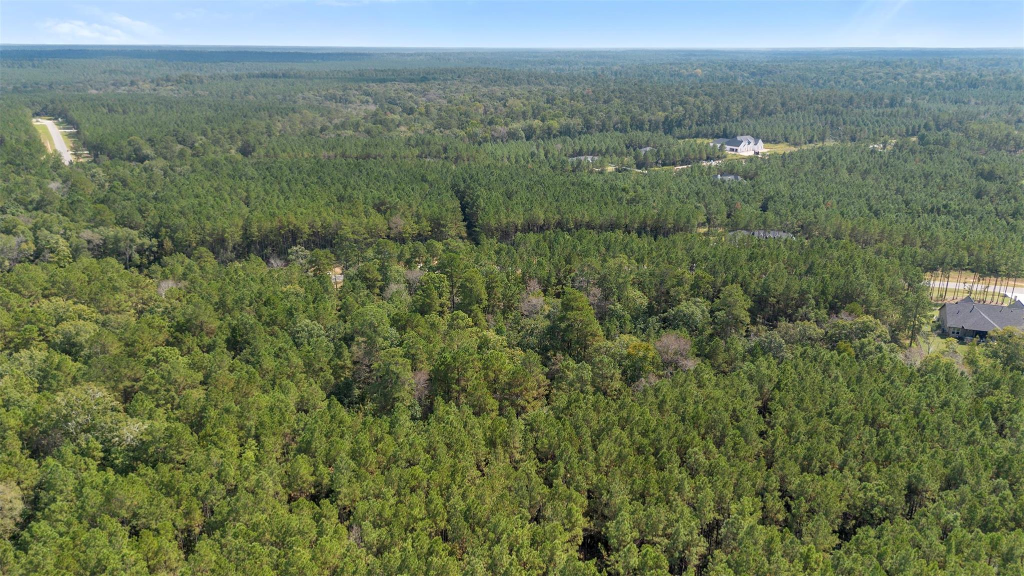 15896 Ridge Oak Road