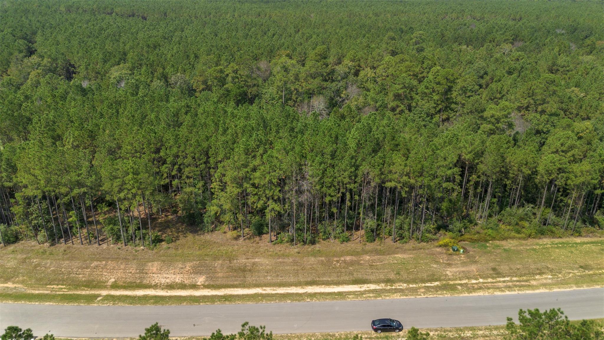 15896 Ridge Oak Road