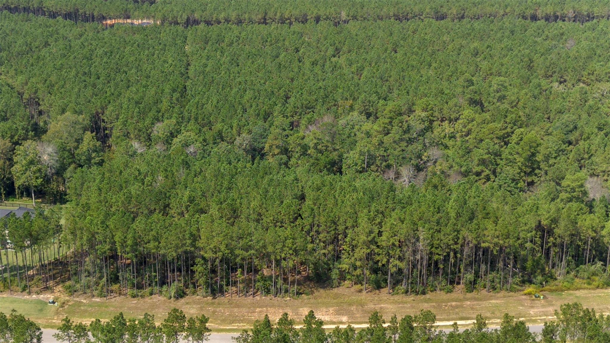 15896 Ridge Oak Road