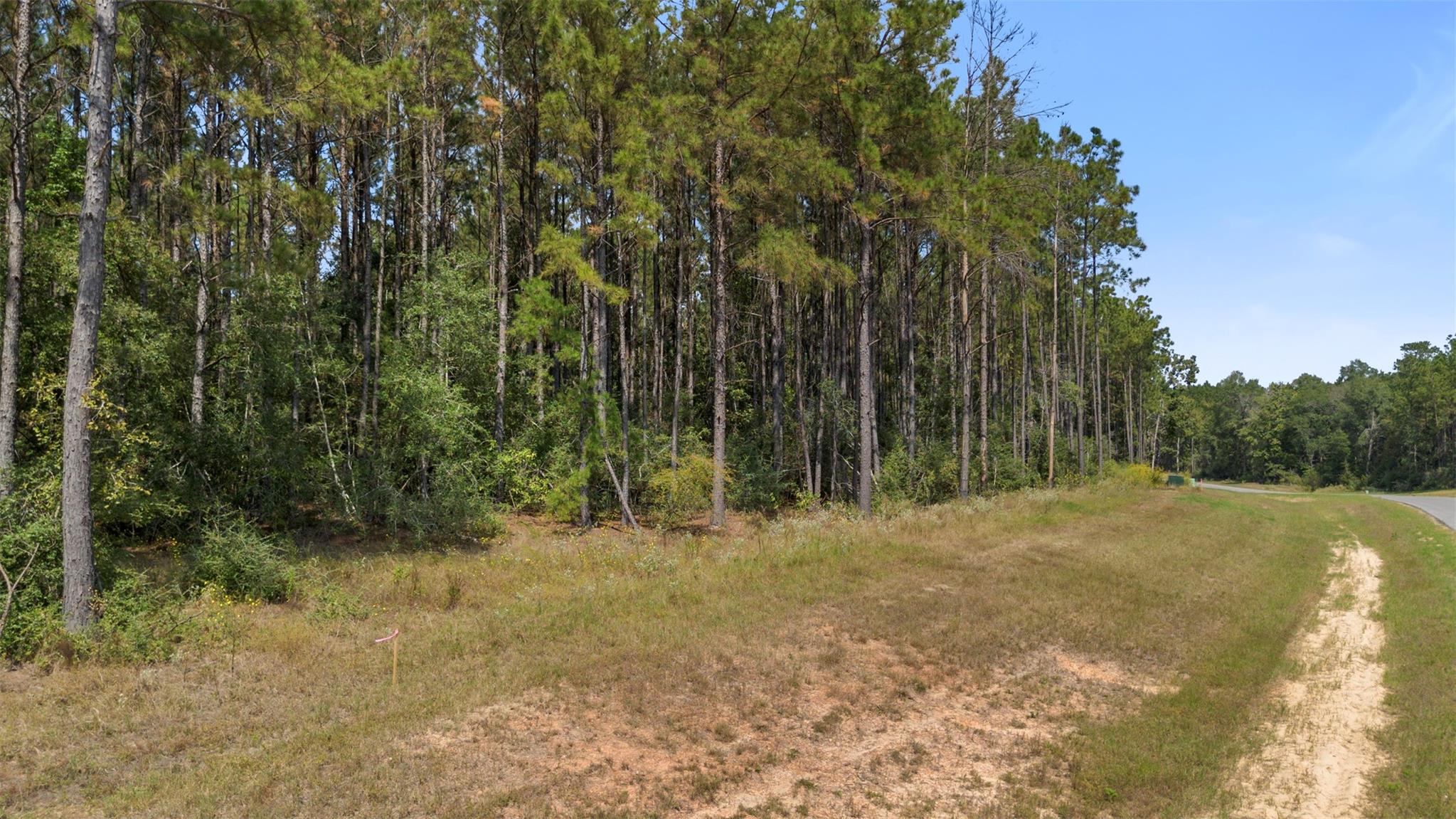 15896 Ridge Oak Road