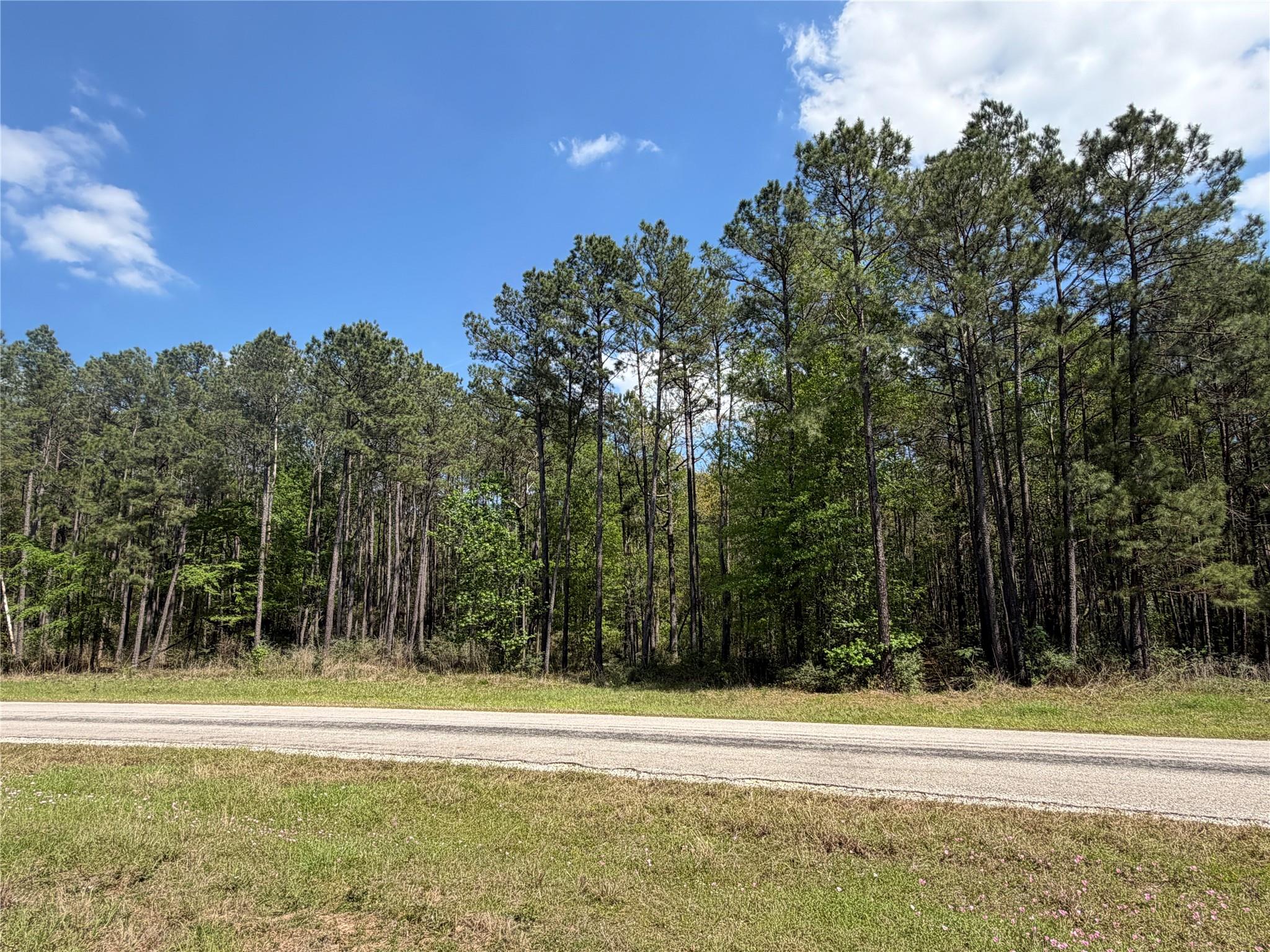 19-6-1 Dedication Trail