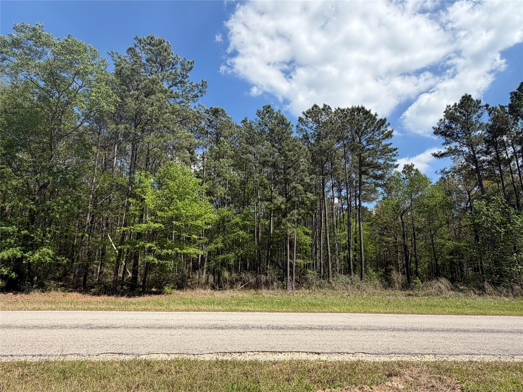 19-6-1 Dedication Trail