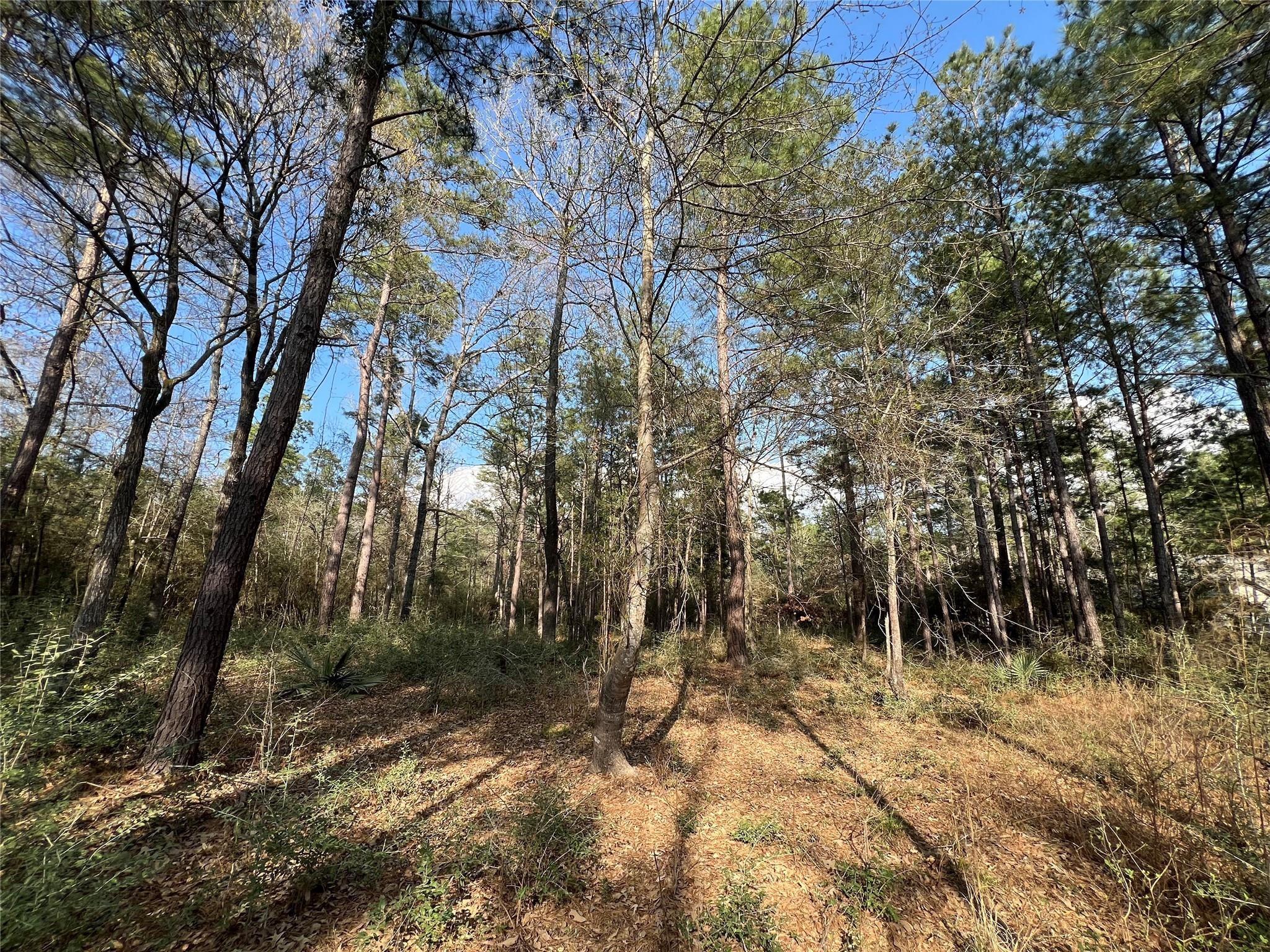 3-17-3B Winchester Road