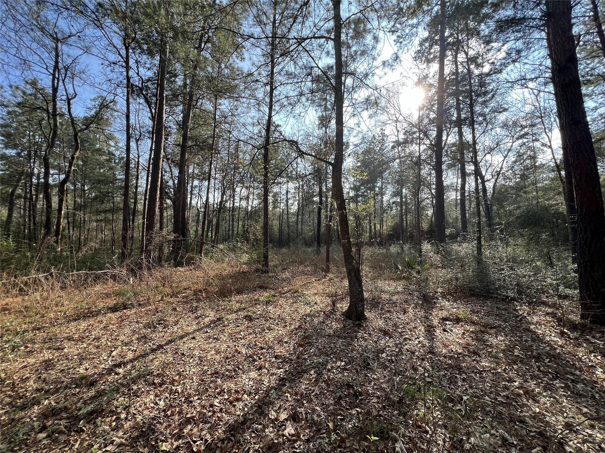 3-17-3B Winchester Road