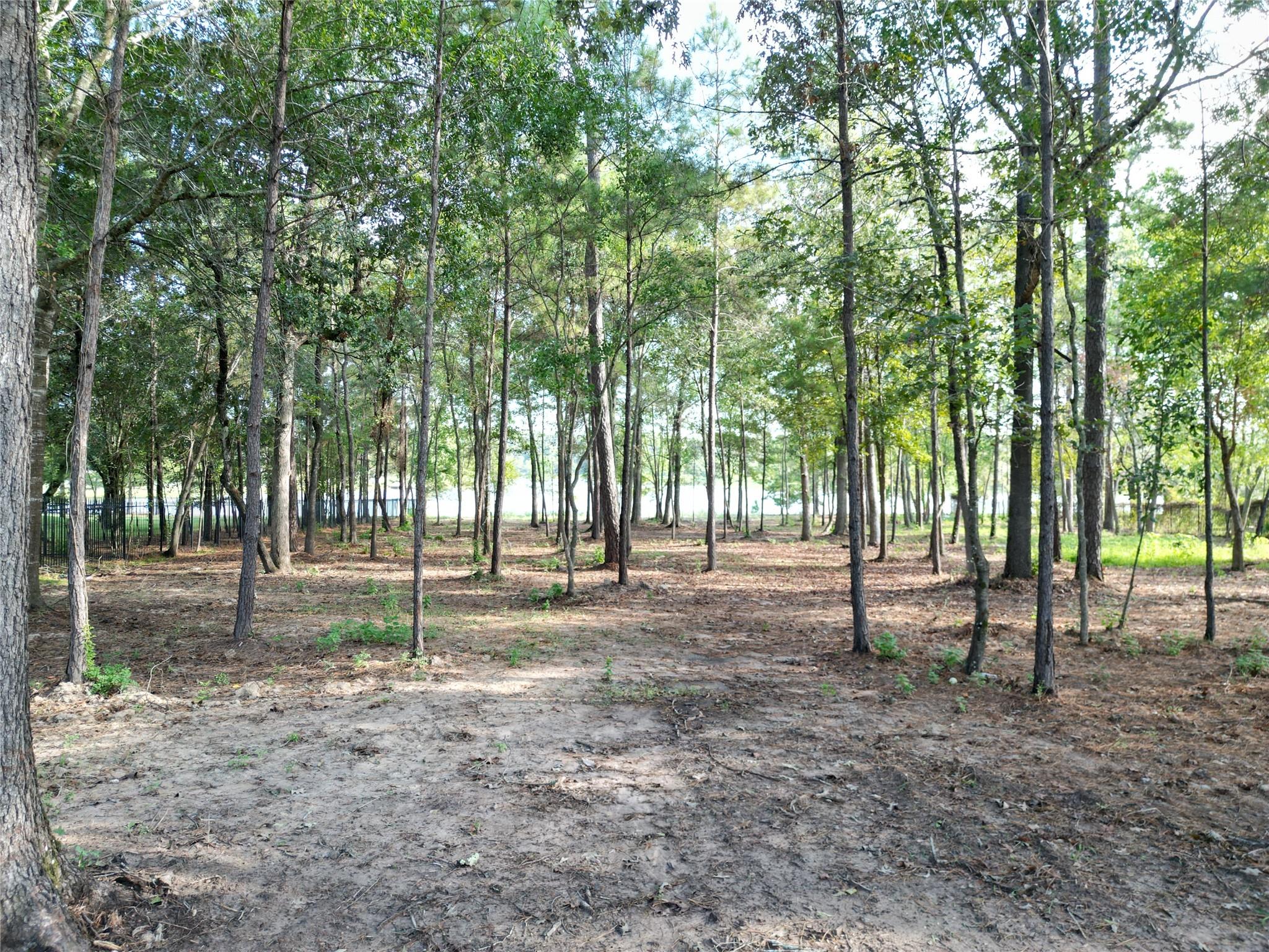 27719 W Balsam Fir Circle