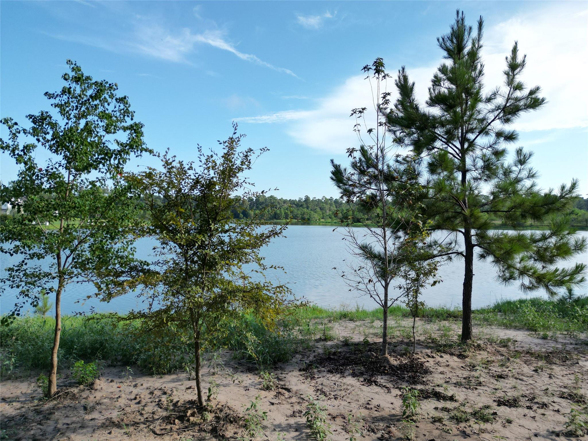 27719 W Balsam Fir Circle