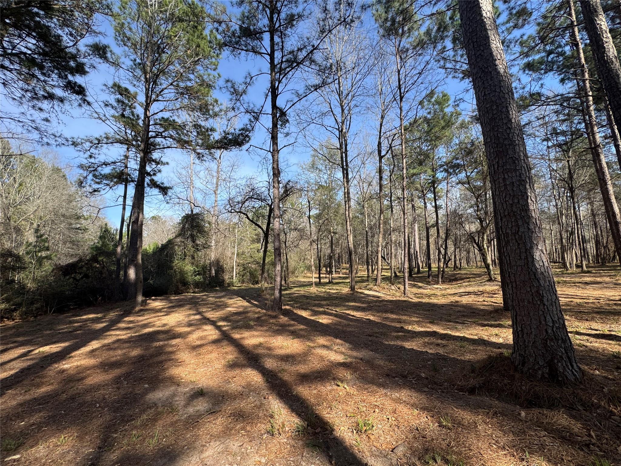 67-21-13 Bighorn Road