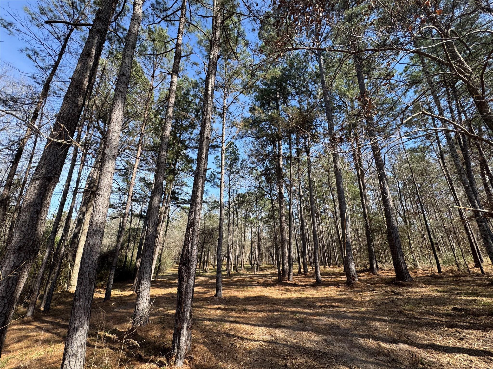 67-21-13 Bighorn Road