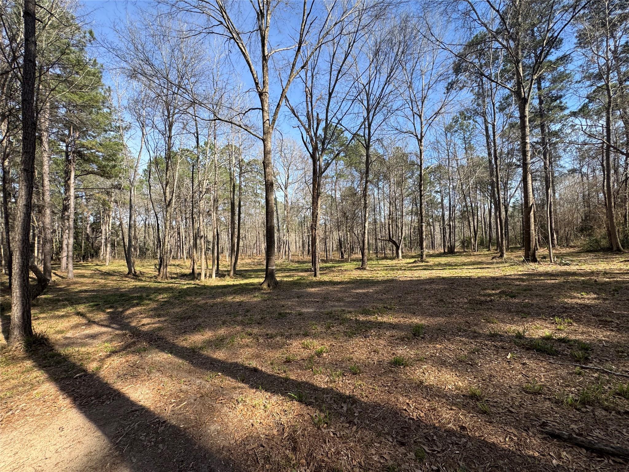 67-21-13 Bighorn Road