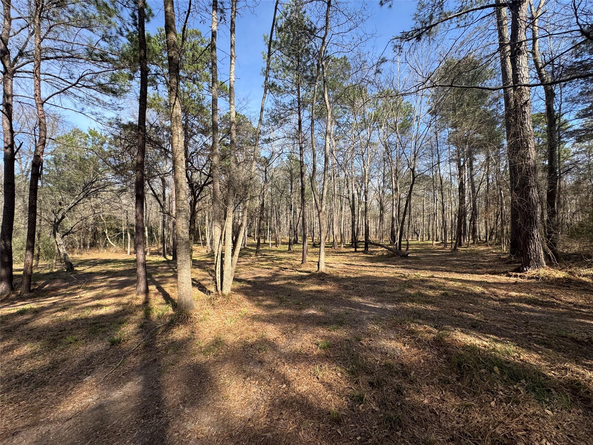 67-21-13 Bighorn Road