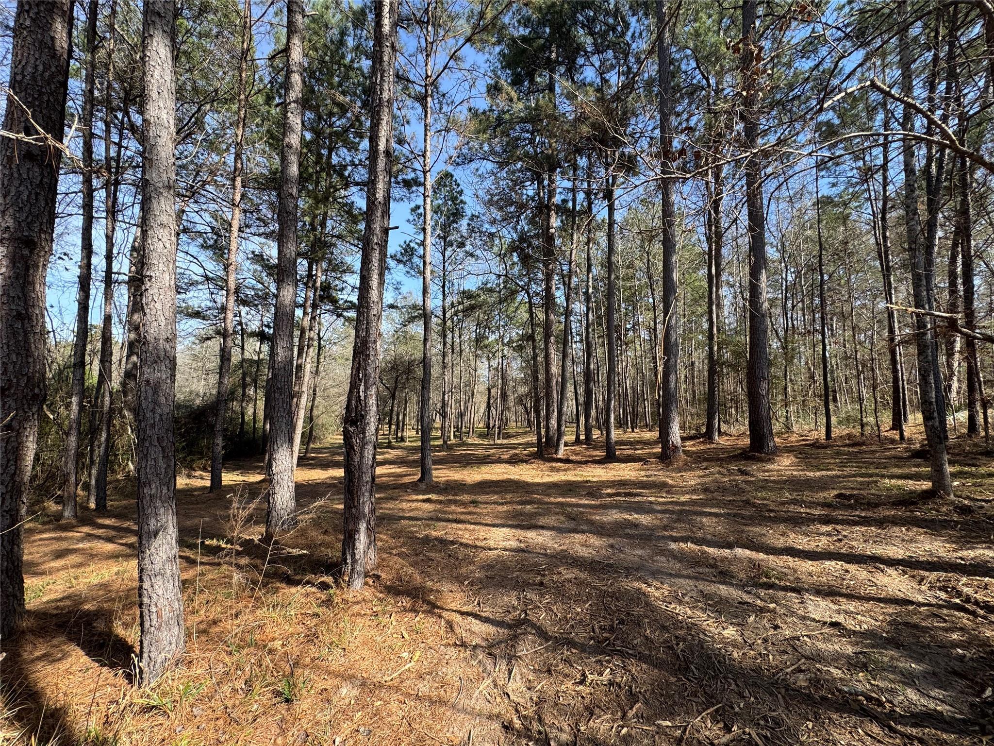 67-21-13 Bighorn Road