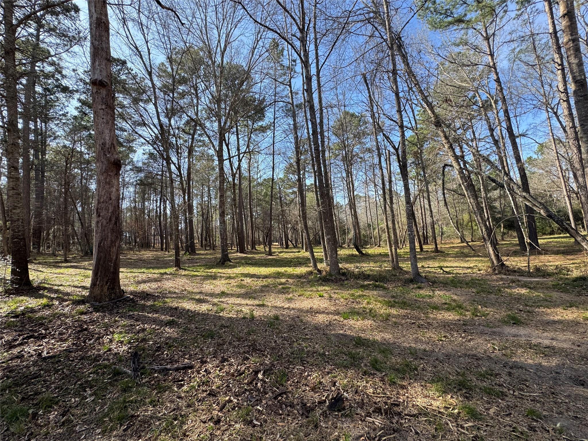 67-21-13 Bighorn Road