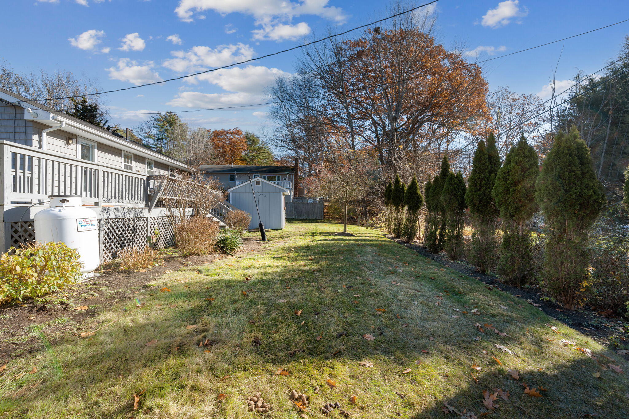 16 Birchwood Avenue