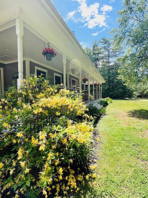 46 Caitlin Drive