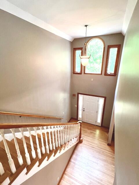46 Caitlin Drive