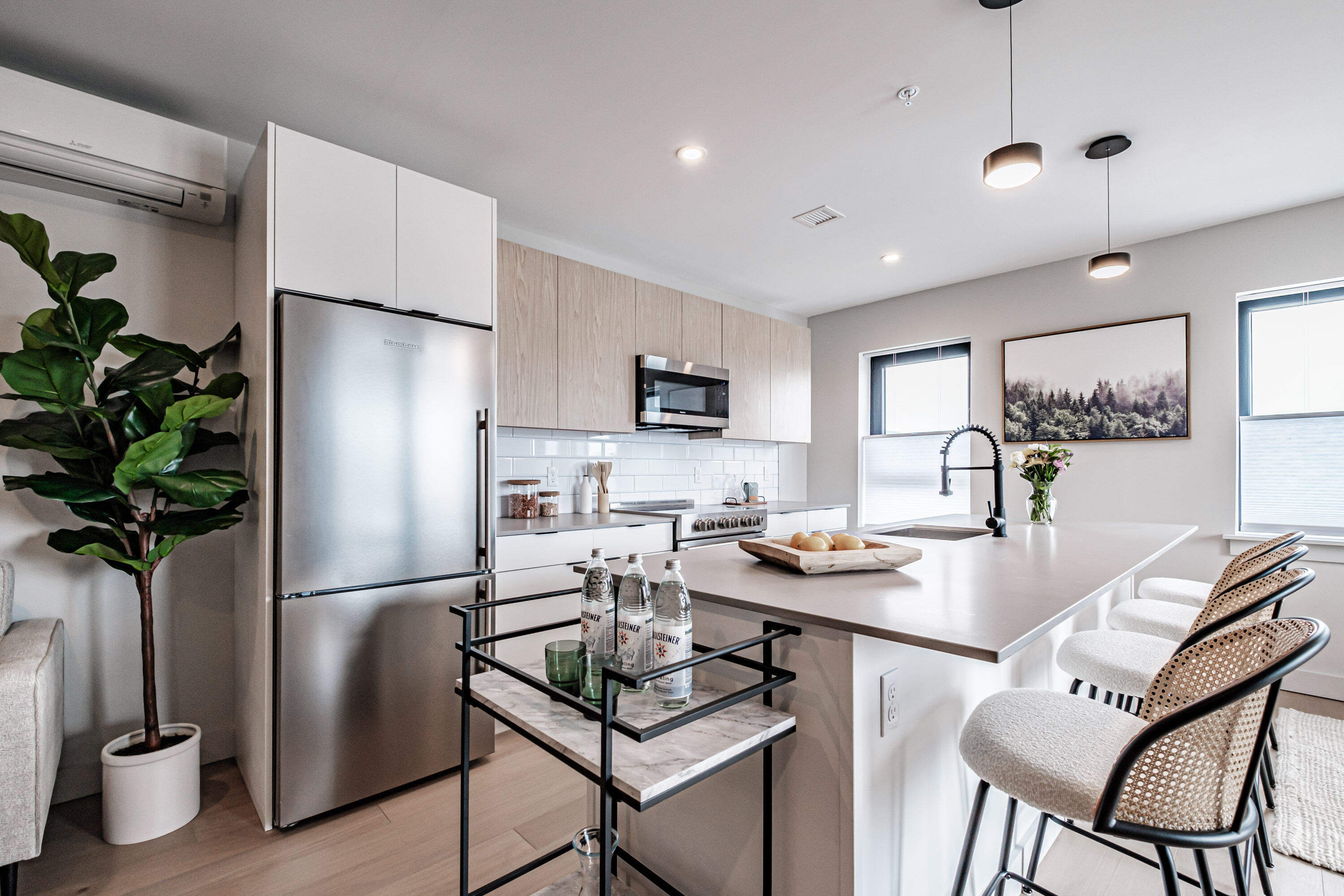 75 Chestnut Street 407