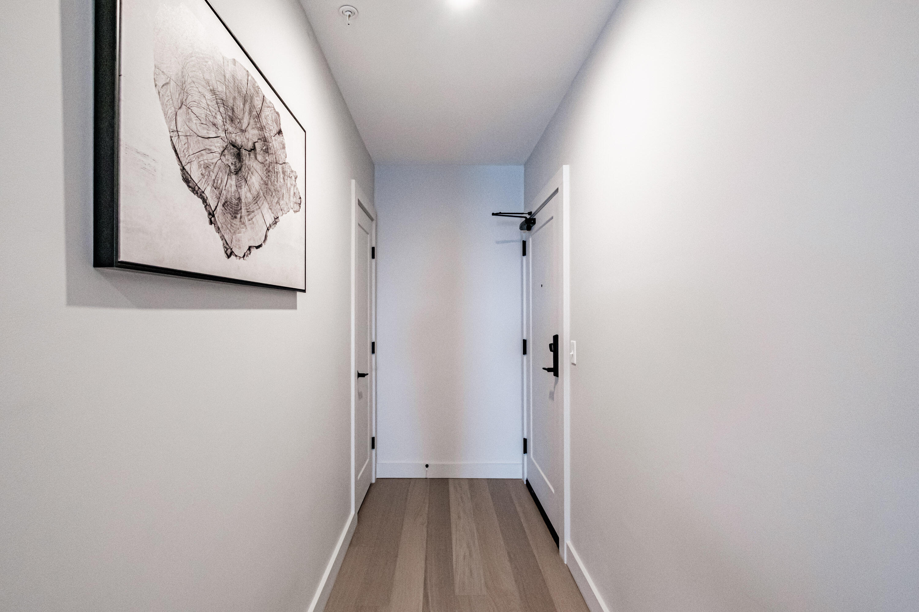 75 Chestnut Street 407