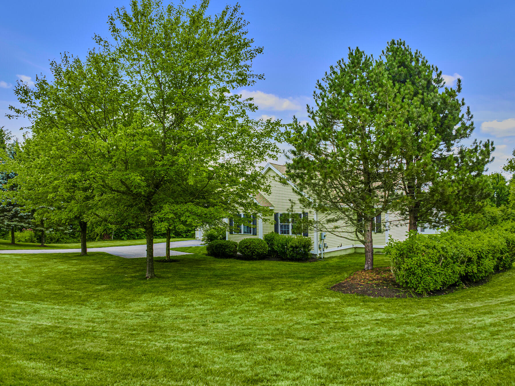 60 Lone Pine Lane, 60