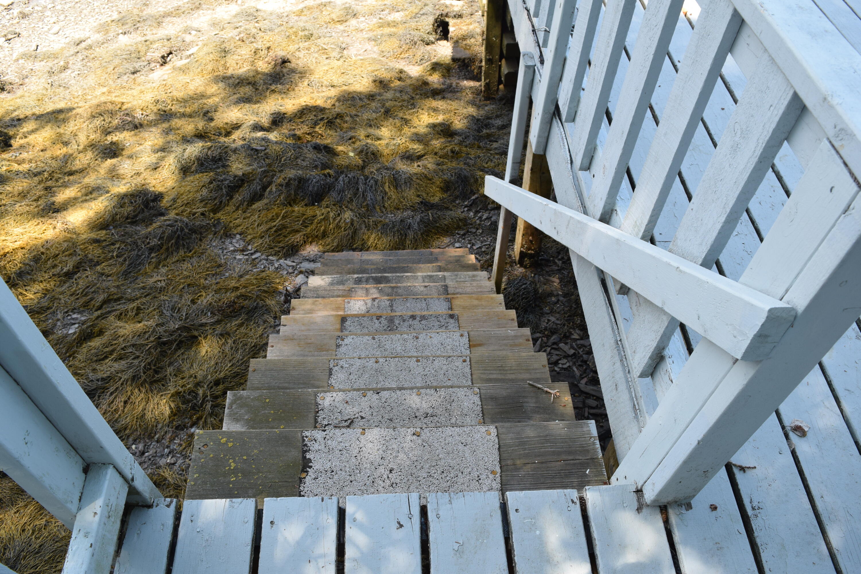 61 Tide Mill Cove Road