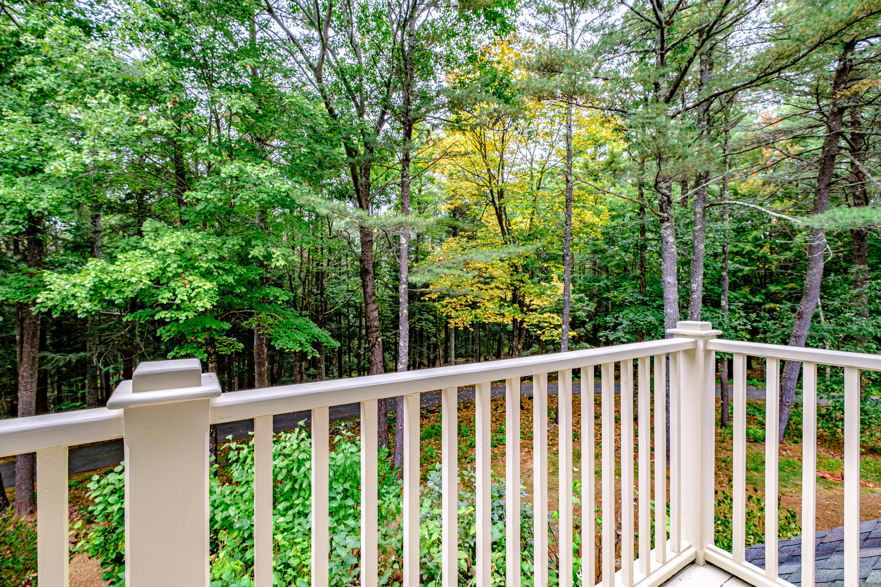 3 Dunham Pond Lane