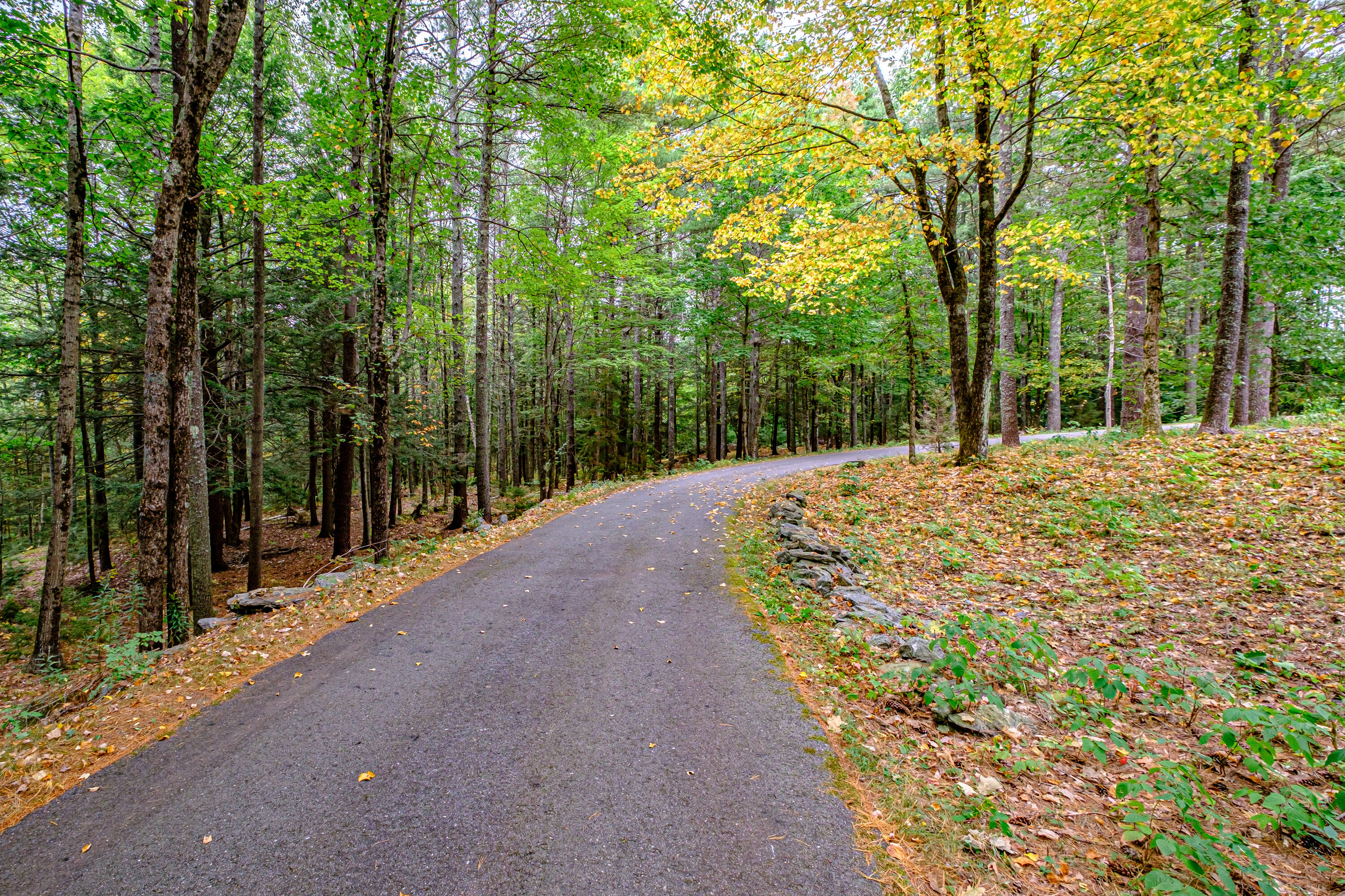 3 Dunham Pond Lane