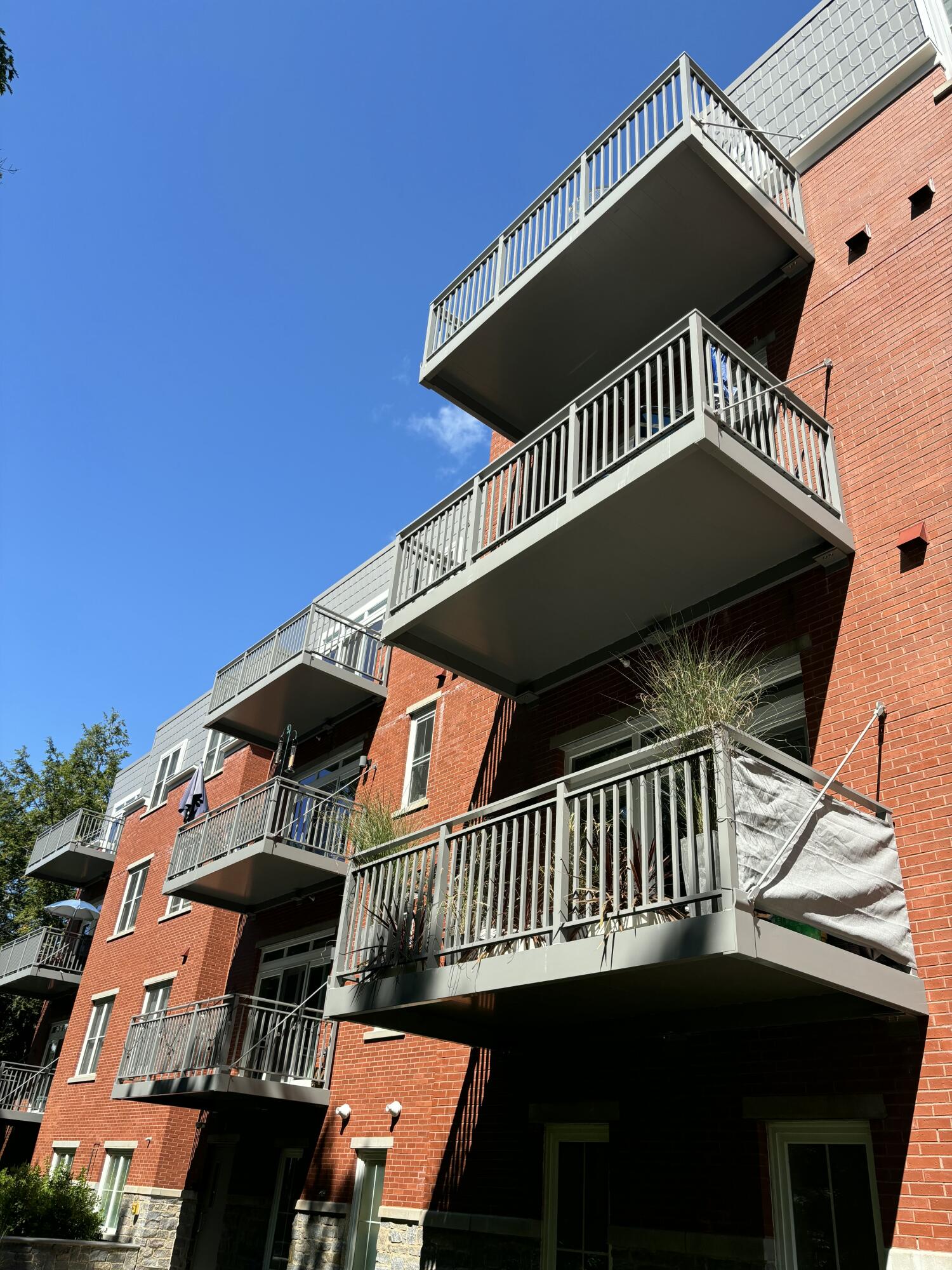 53 Mcauley Way, 203