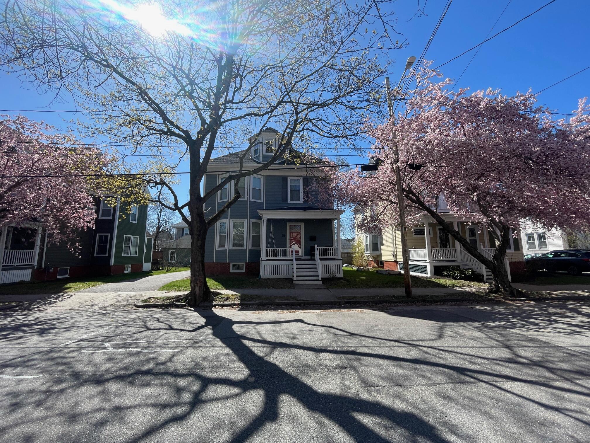 50 Lawn Avenue