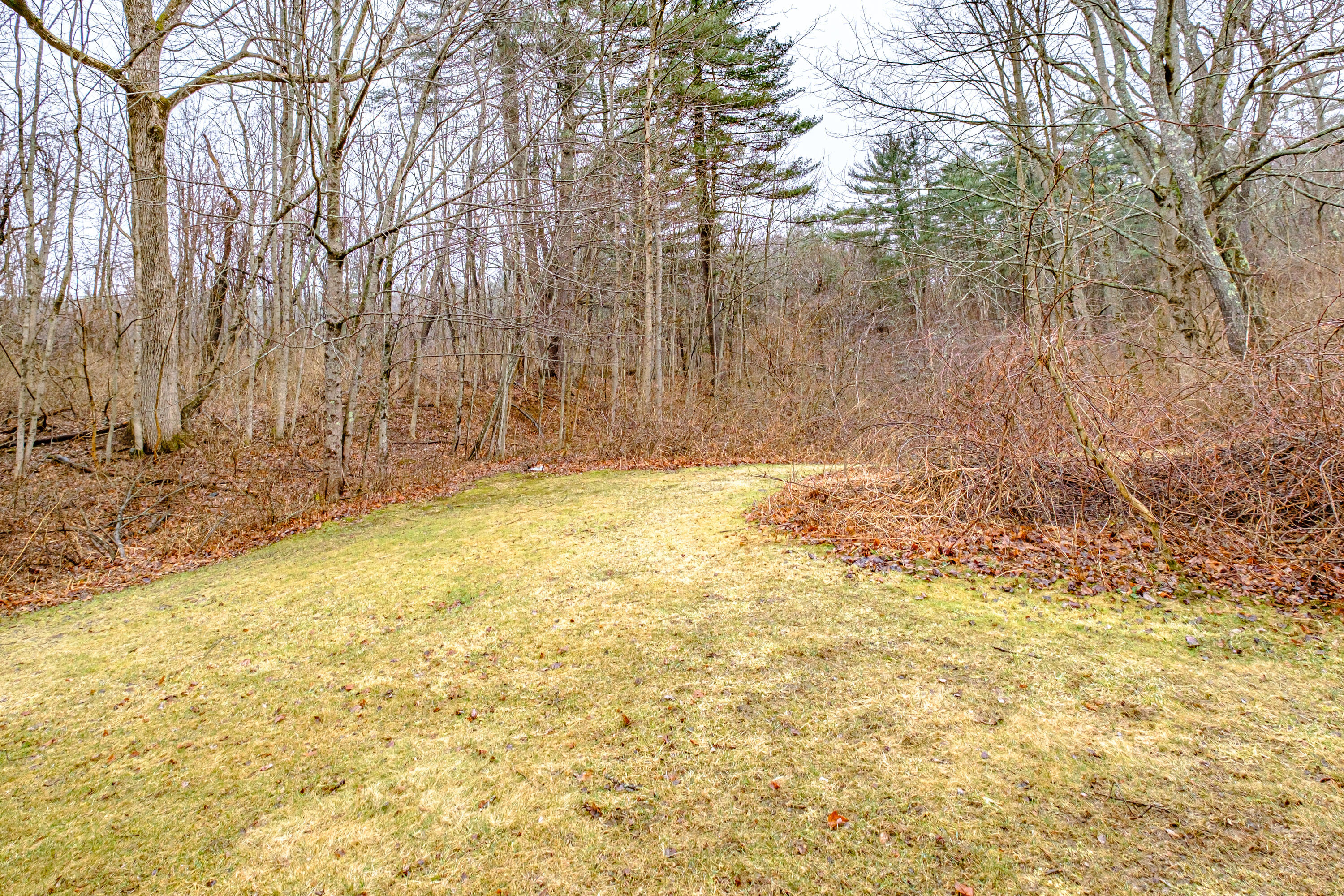 101 Northwood Drive, 101