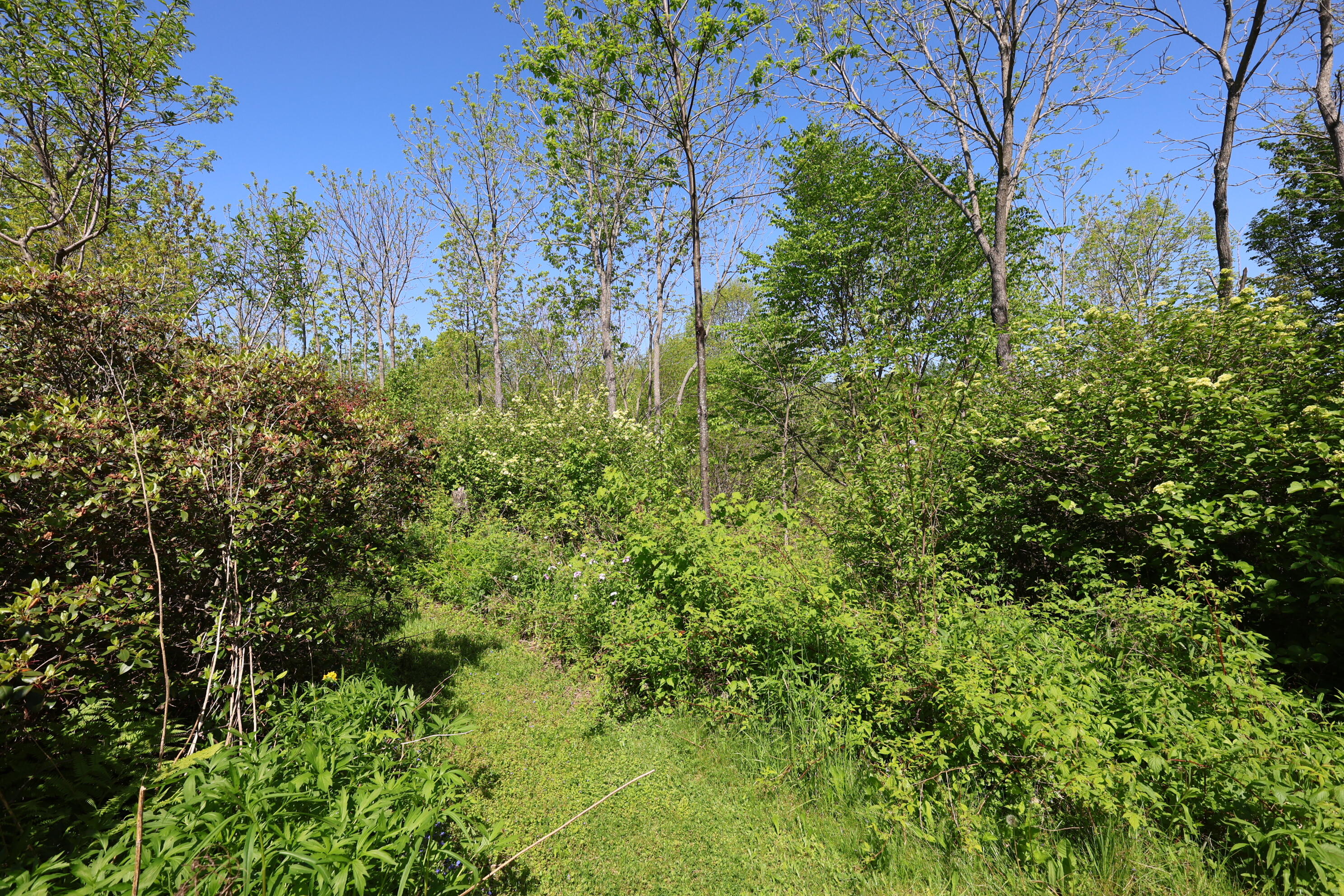 281 Post Road