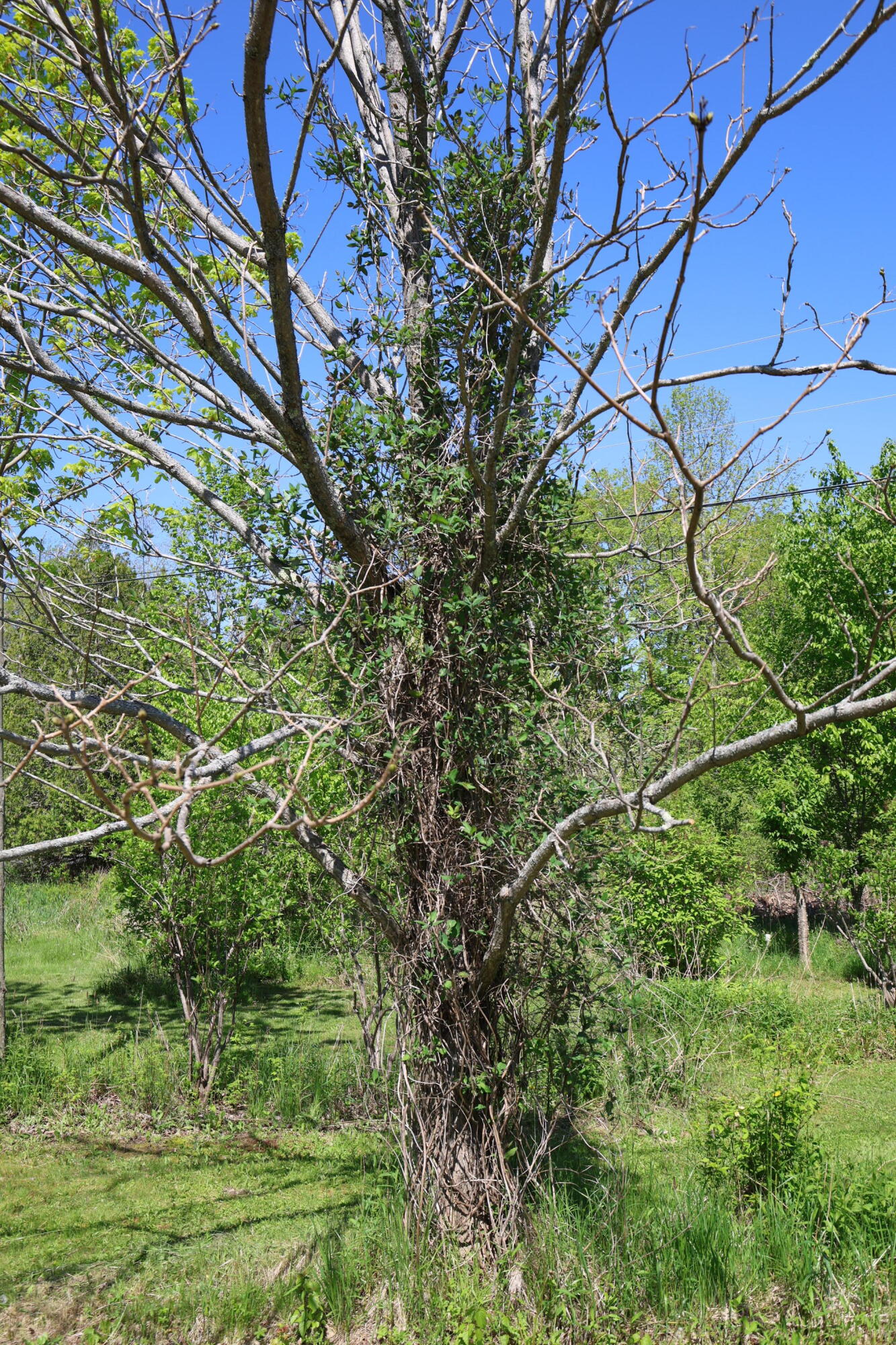 281 Post Road