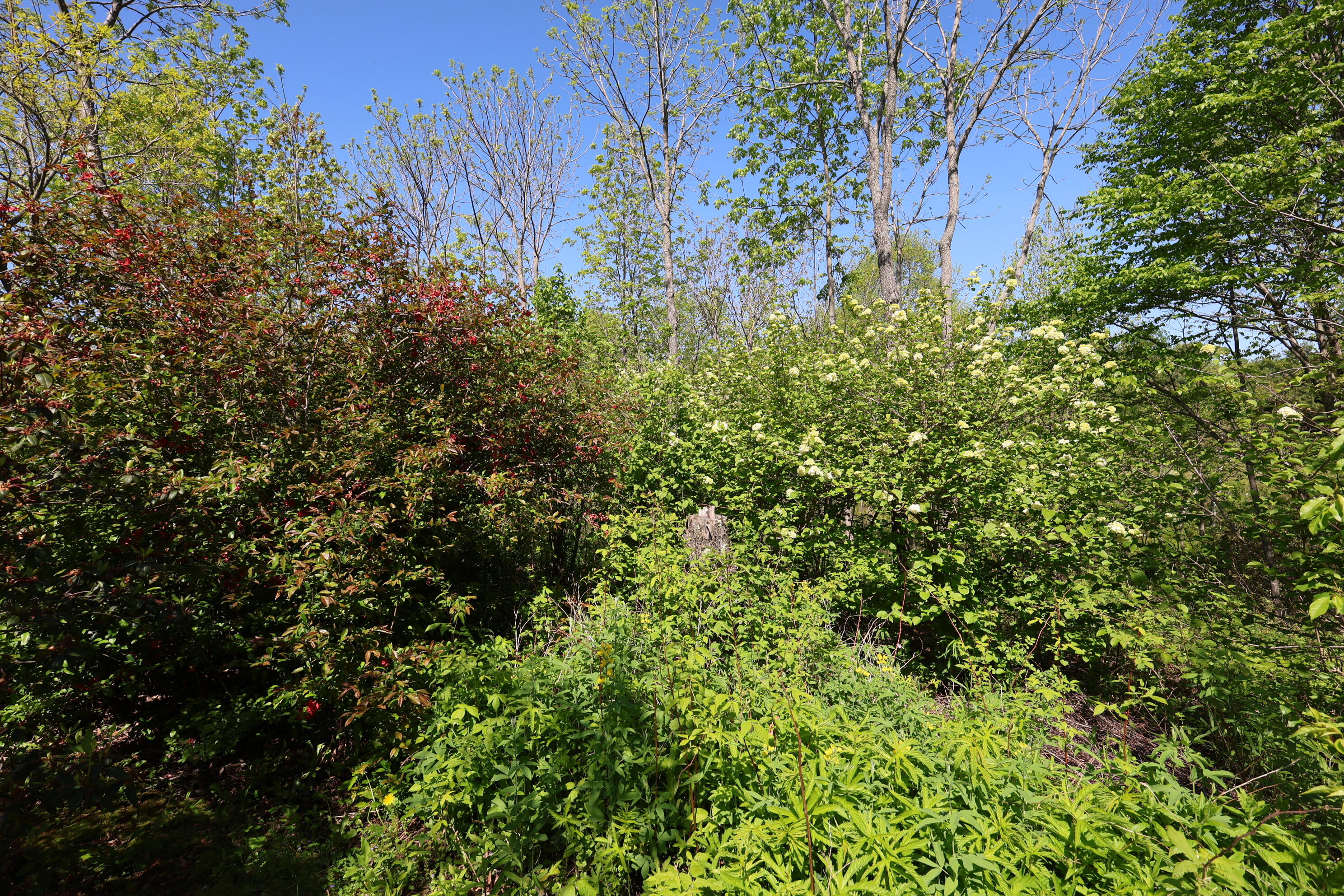 281 Post Road