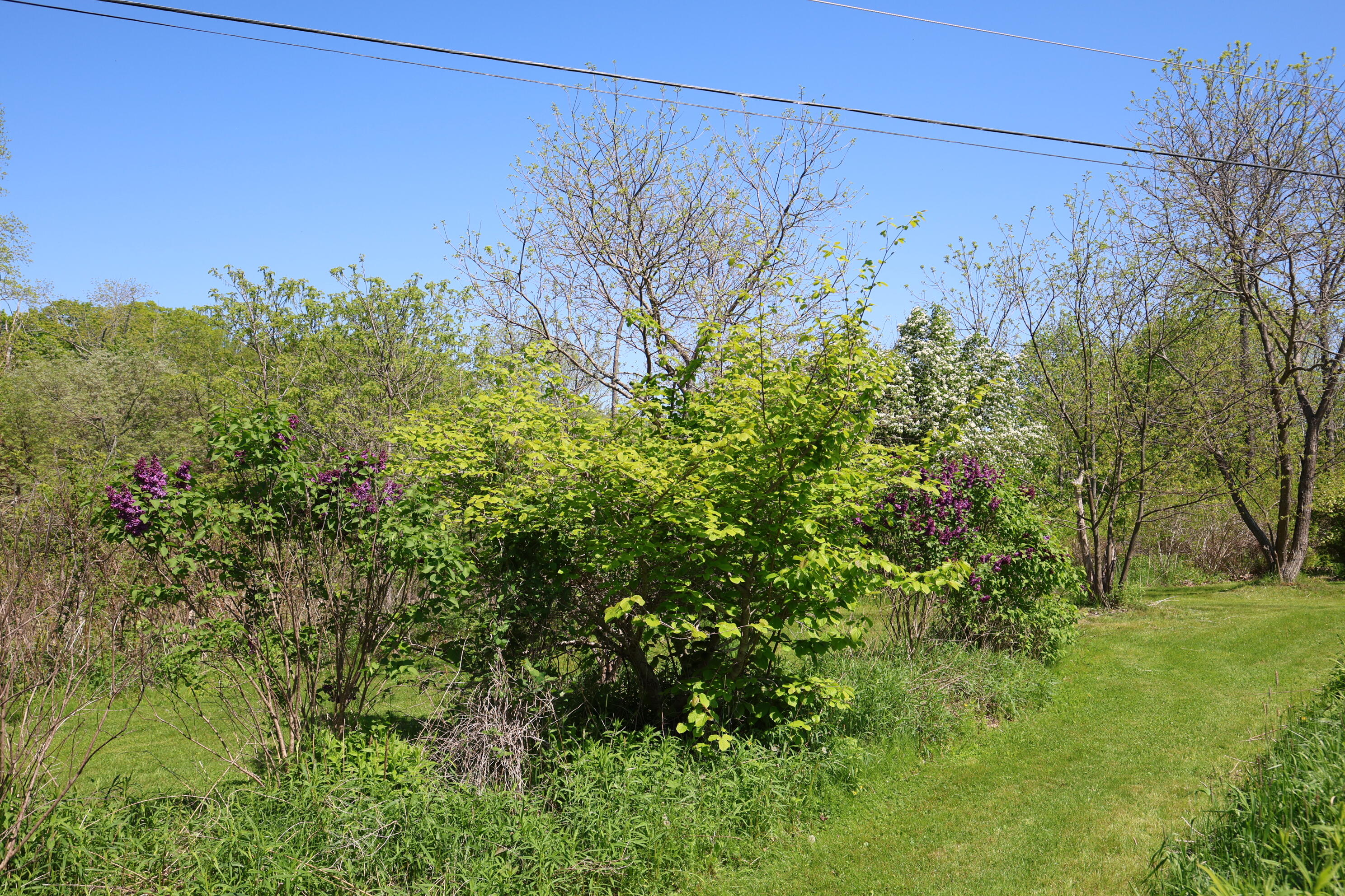 281 Post Road