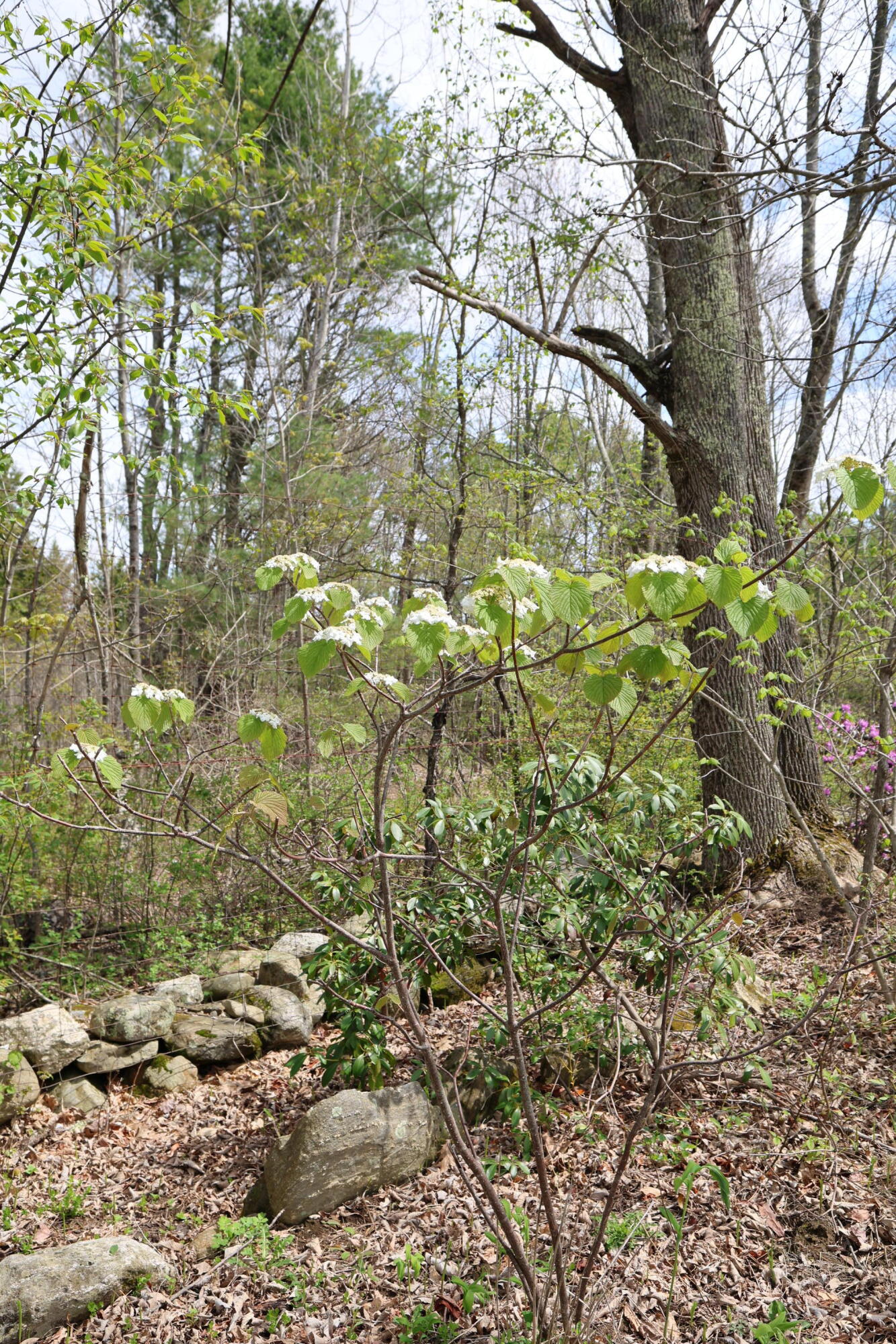 281 Post Road
