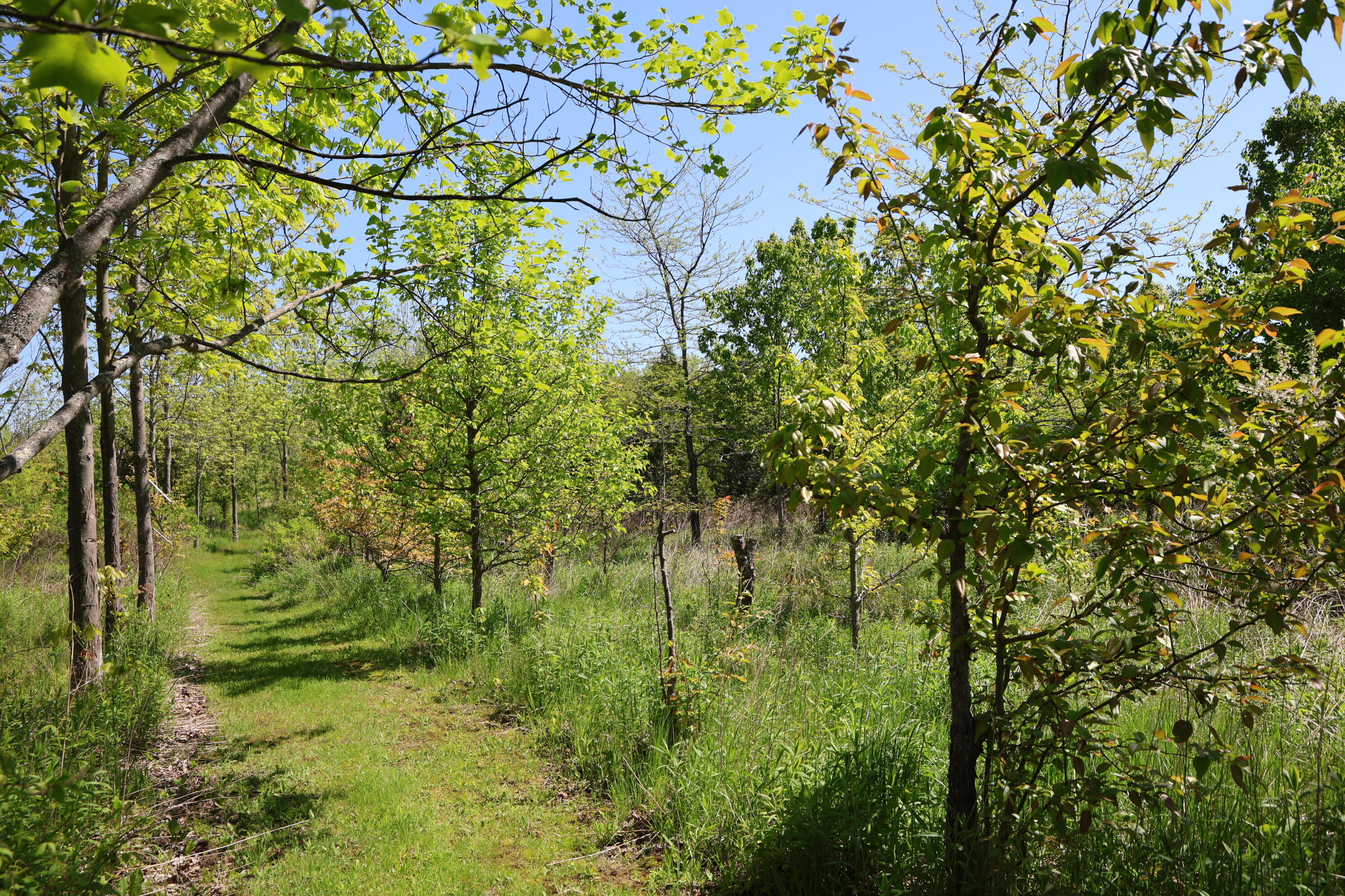 281 Post Road