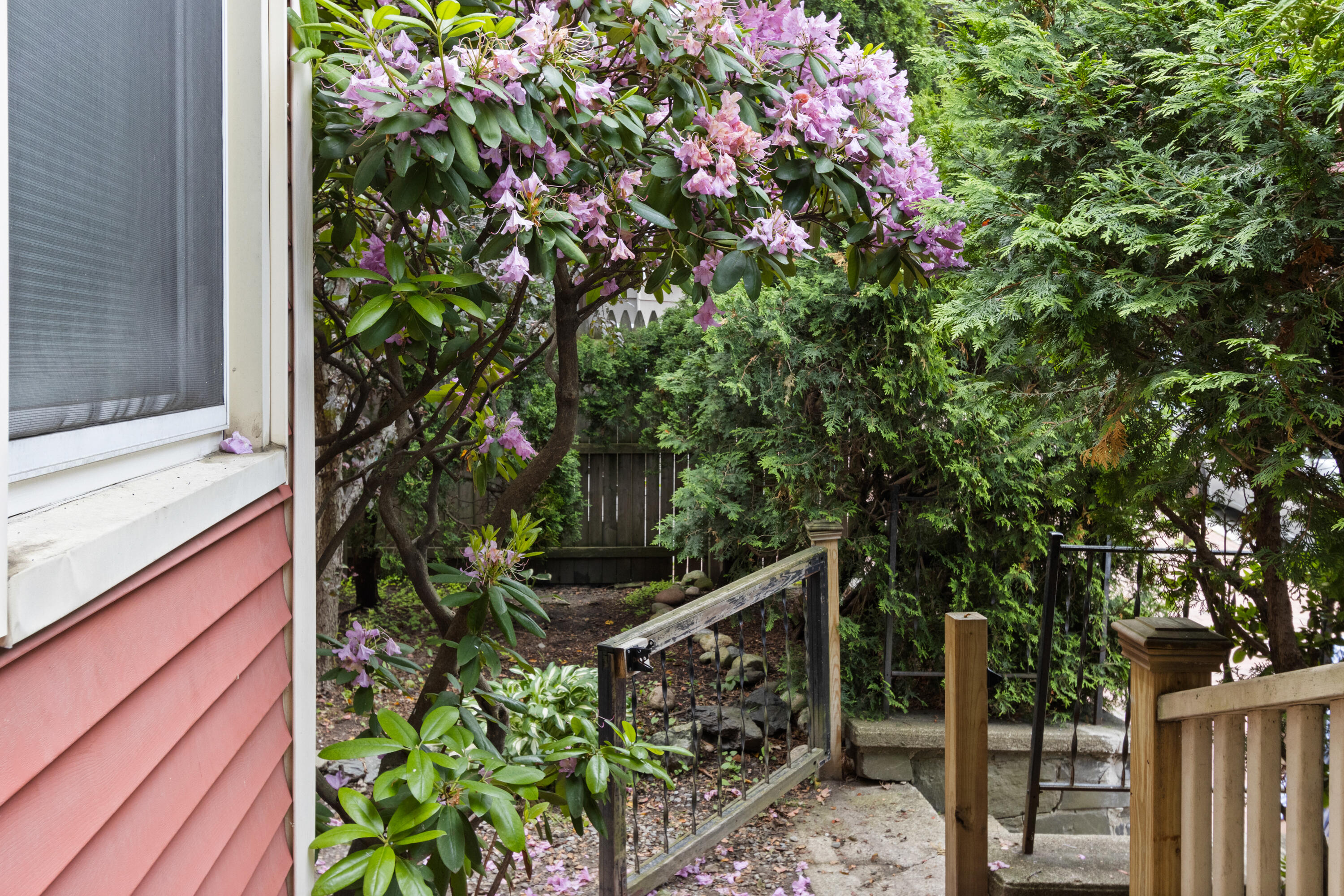 15 Deering Avenue, 3