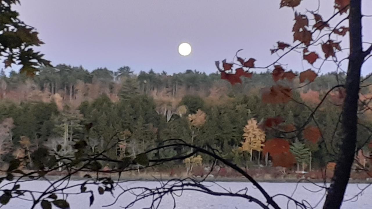 Lot 1 Zakelo Island Road, 1, Harrison Unit: 1